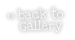 << back to     Gallery